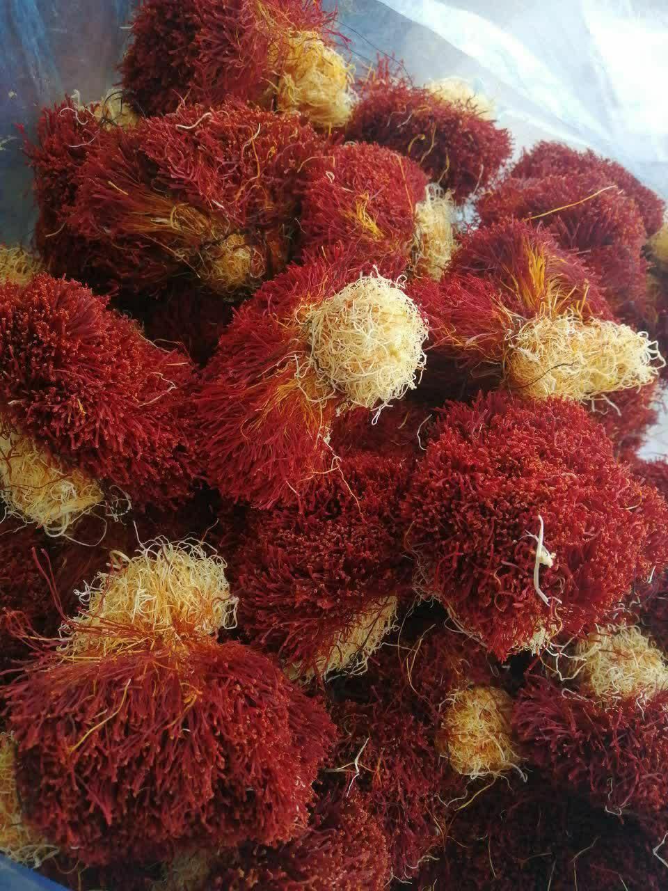 خرید زعفران در محل|خوردنی و آشامیدنی|مشهد, کوی سیدی|دیوار