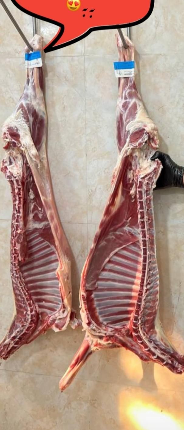سوپر گوشت رضا ارزانترین قصابی در خراسان|خوردنی و آشامیدنی|بجنورد, |دیوار