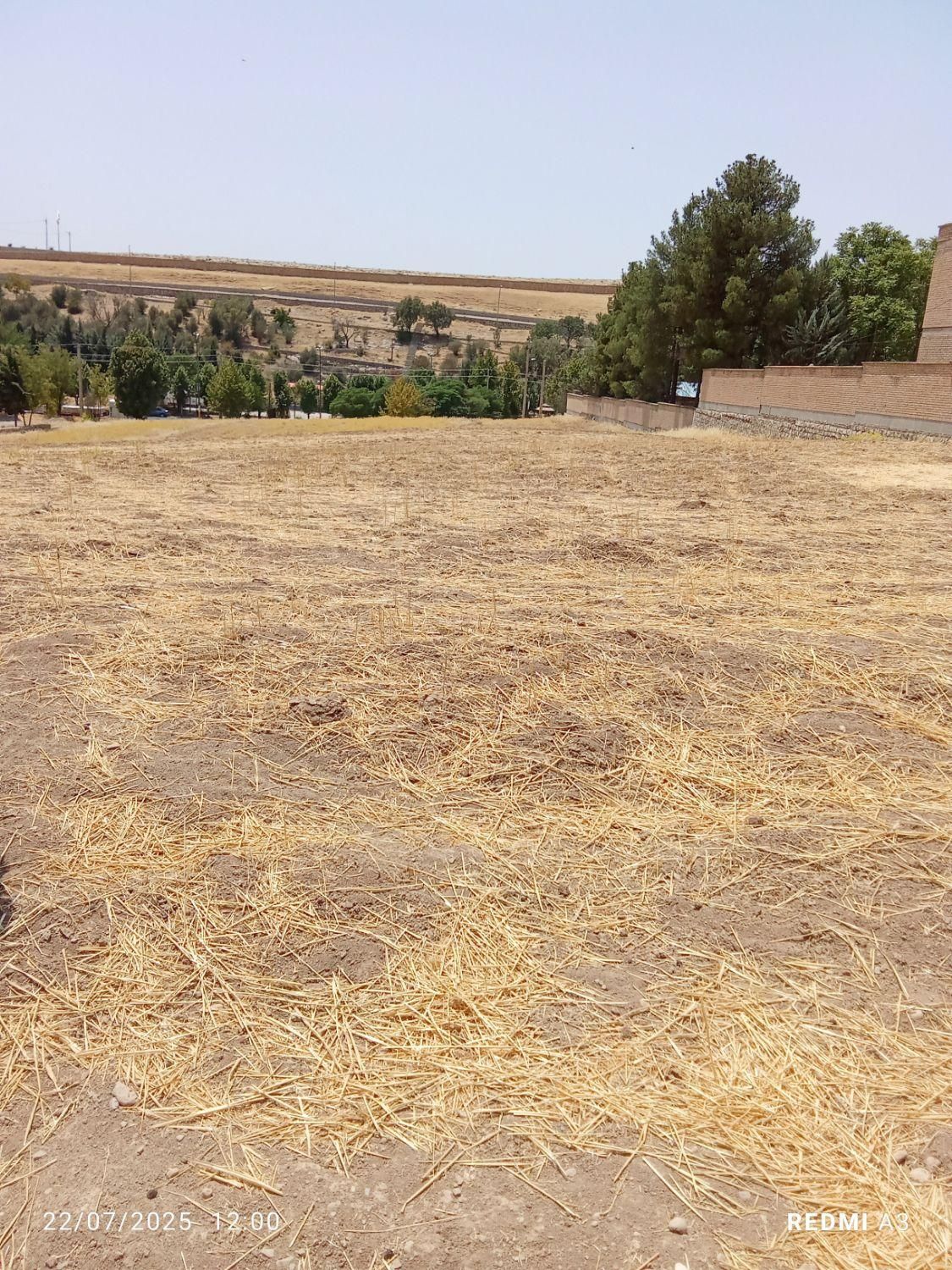 فروش زمین ۱ هکتار|فروش زمین و ملک کلنگی|چگنی, |دیوار