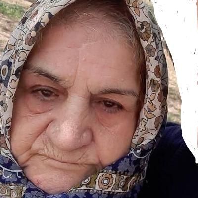 پرستار سالمند شبانه روزی|استخدام درمانی، زیبایی، بهداشتی|تهران, خزانه|دیوار
