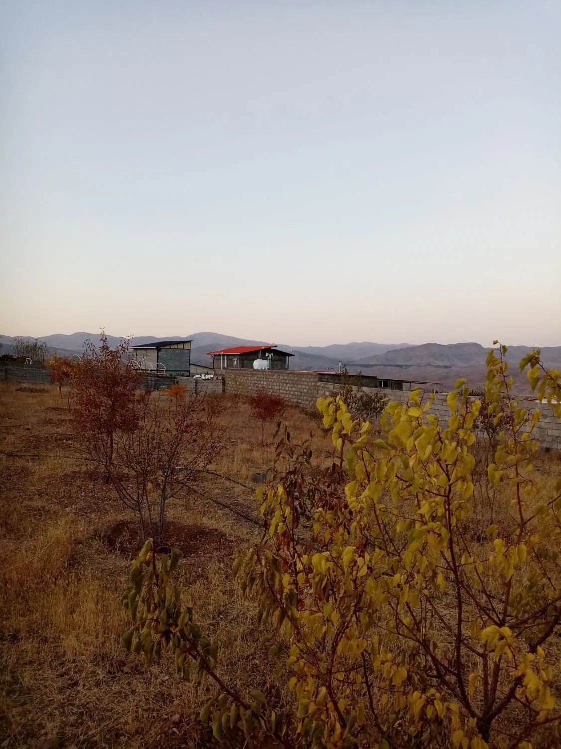 باغ به متراژ۱۴۰۰متردرروستای مزرعه زیرقیمت|فروش خانه و ویلا|صوفیان, |دیوار