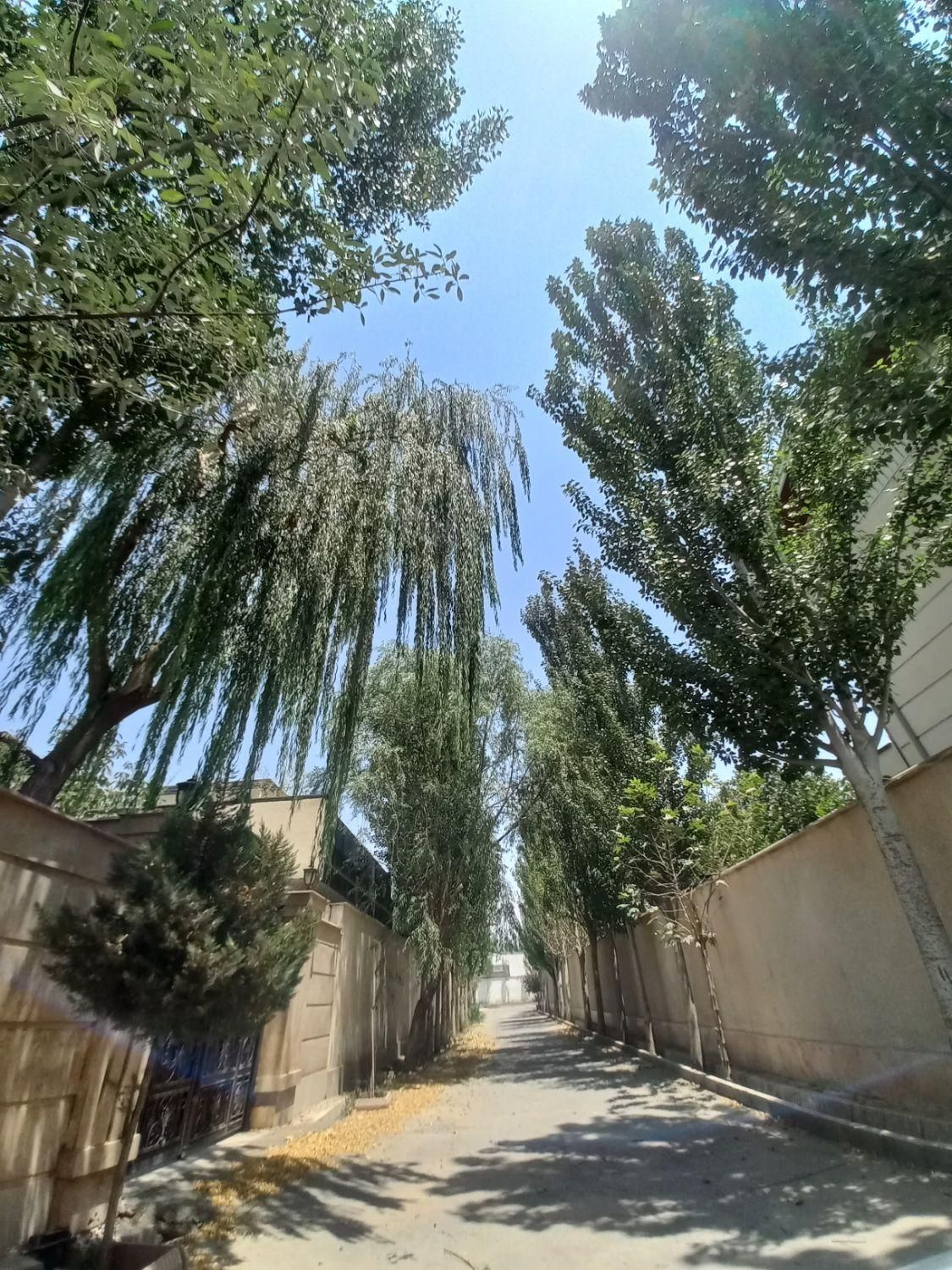 زمین سوپرکاسبی۶۰۰م تهراندشت/ سهیلبه/ نمکلان|فروش زمین و ملک کلنگی|کرج, بهار|دیوار