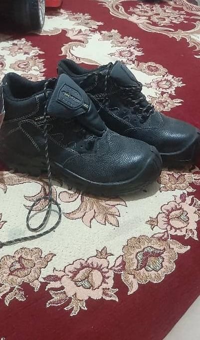 سایز ۴۲|کیف، کفش، کمربند|مرودشت, ثبت احوال|دیوار