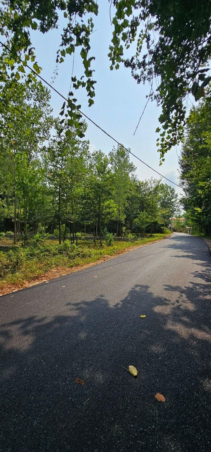 ۳۳۶ متر زمین تمام مسکونی ۲ بر|فروش زمین و ملک کلنگی|سیاهکل, |دیوار