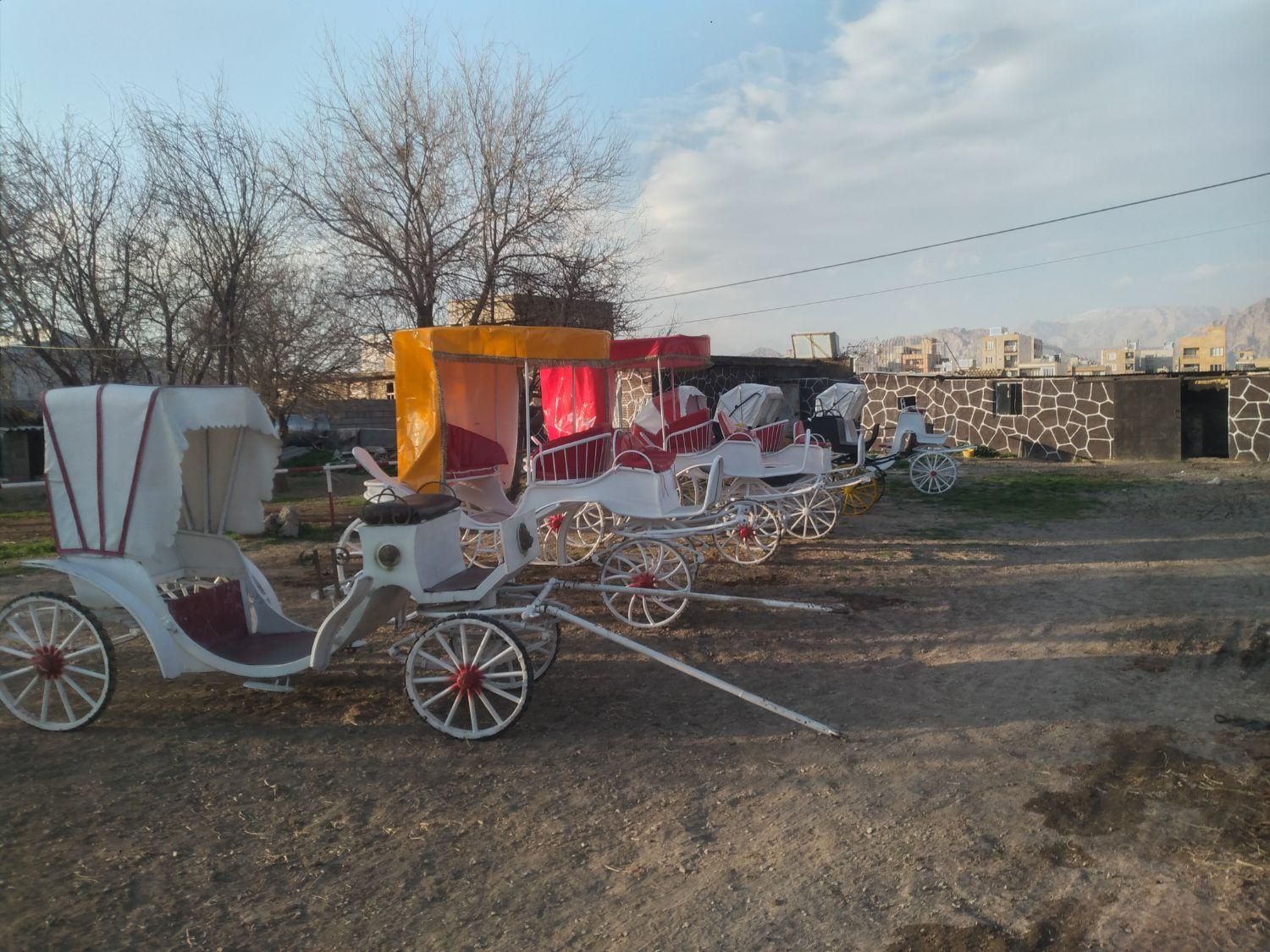 کالسکه اسب درشکه|اسب و تجهیزات اسبسواری|تهران, آبشار|دیوار