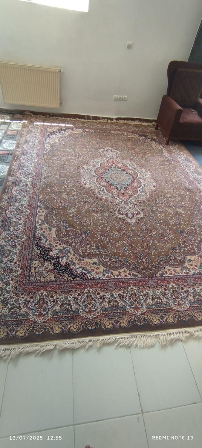 فرش ماشینی|فرش|کرمانشاه, |دیوار