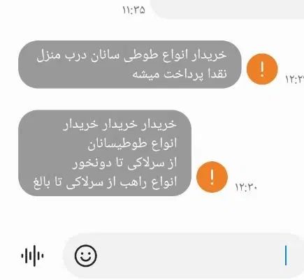 خرید وفروش انواع طوطیسانان از سرلاکی تابالغ|پرنده|کاشان, ملاصدرا|دیوار