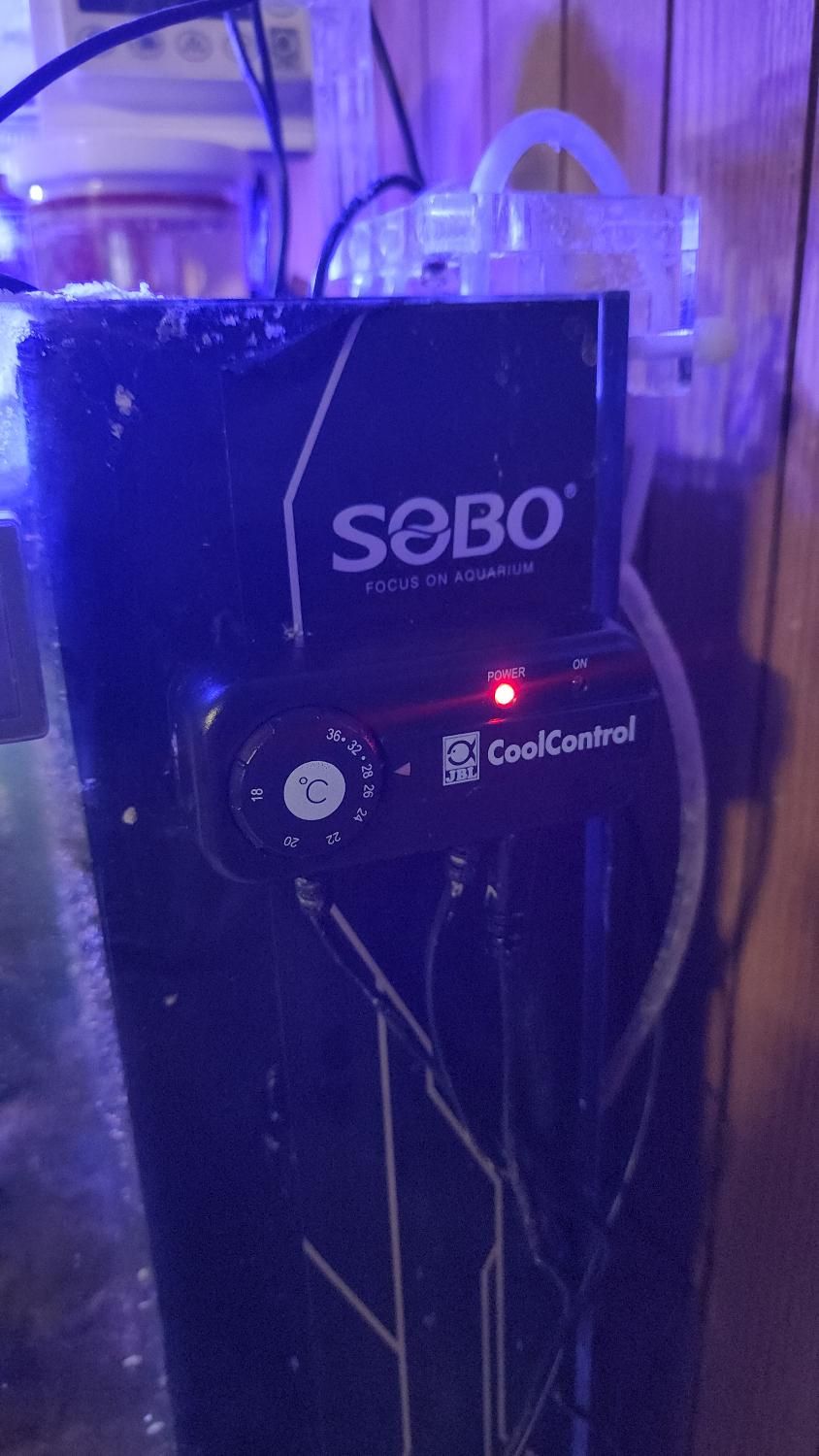 فروش تجهیزات آکواریوم آب شور|ماهی|اصفهان, پروین|دیوار