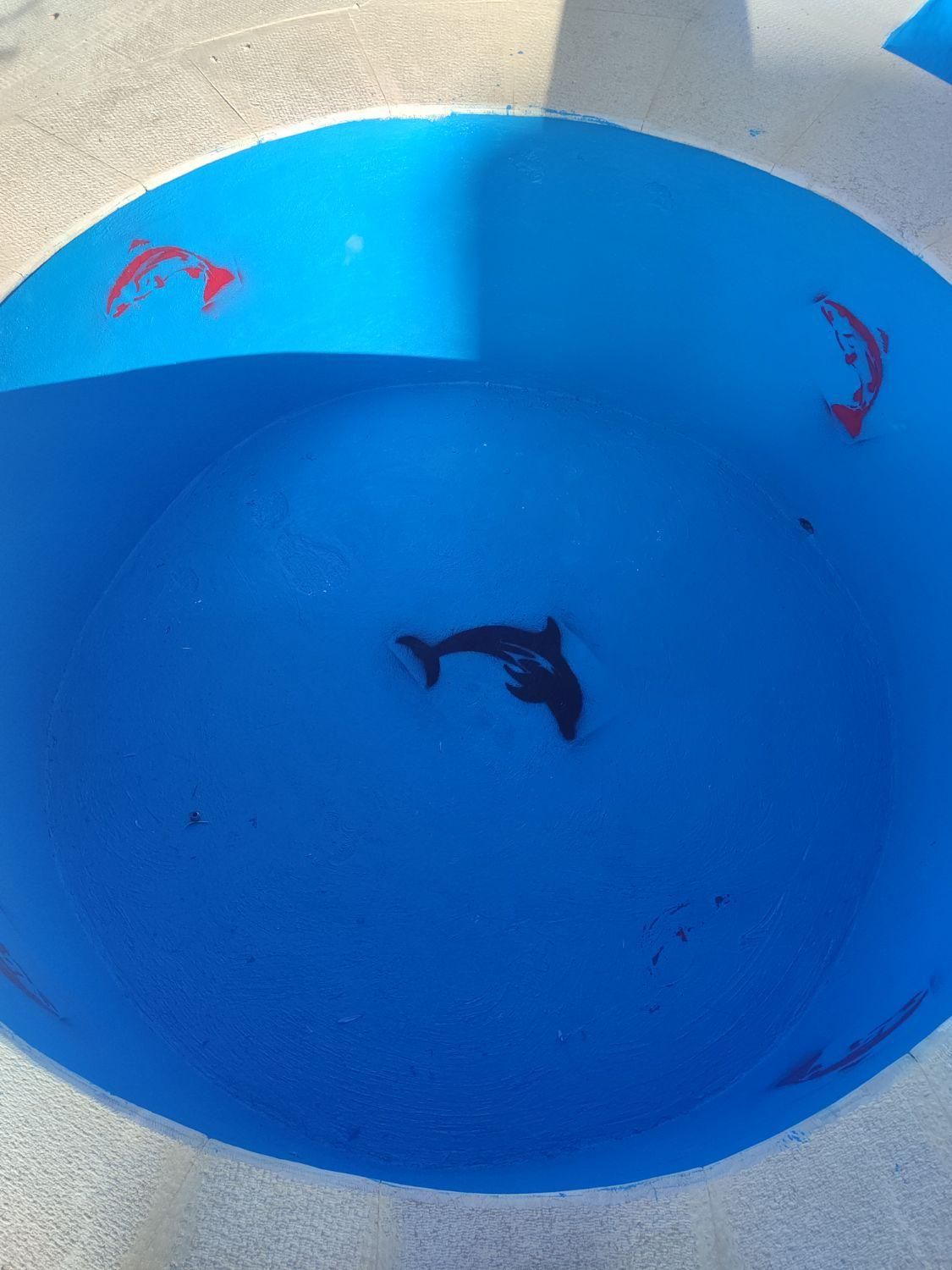 عایق استخر،سونا،جکوزی،،بادوسال ضمانت|خدمات پیشه و مهارت|شیراز, ابیوردی|دیوار