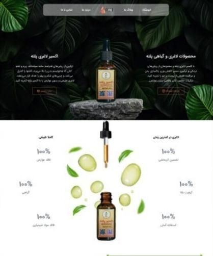 طراحی حرفه‌ای سایت با تخفیف ویژه برای مدت محدود|خدمات رایانه‌ای و موبایل|یزد, |دیوار
