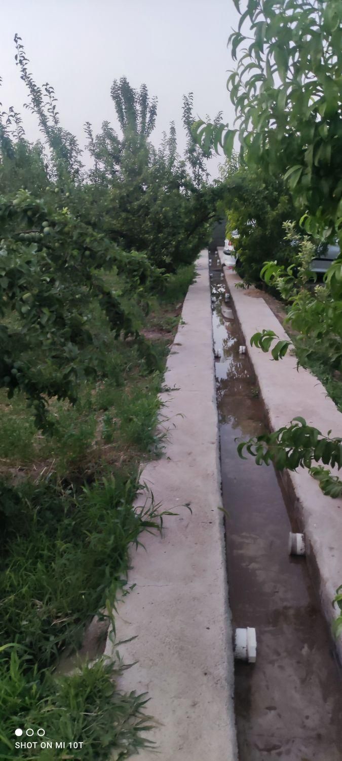 فروش باغ|فروش دفتر صنعتی، کشاورزی، تجاری|میاندوآب, |دیوار