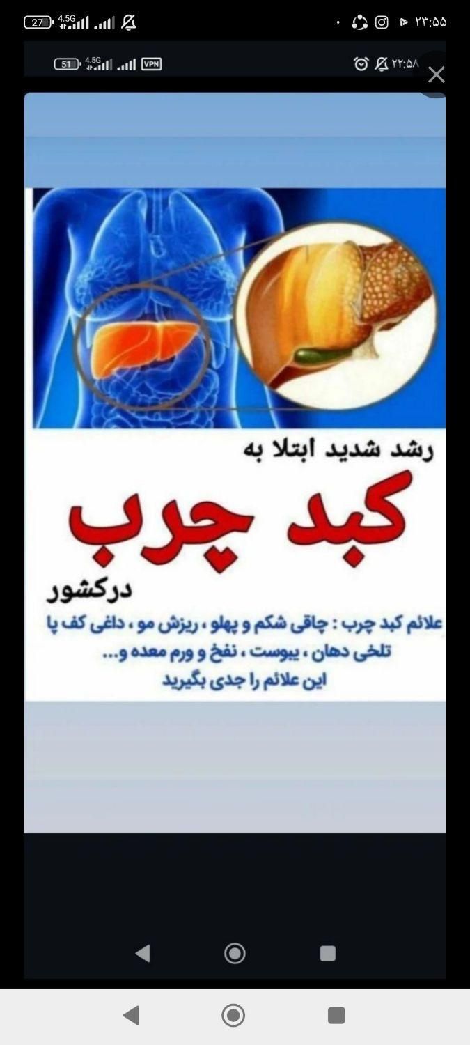 درمان کبد چرب|خدمات آرایشگری و زیبایی|گنبد کاووس, |دیوار