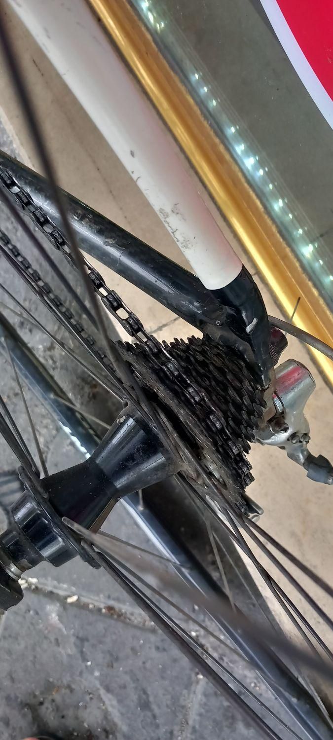 دوچرخه کورسی|دوچرخه، اسکیت، اسکوتر|تبریز, |دیوار