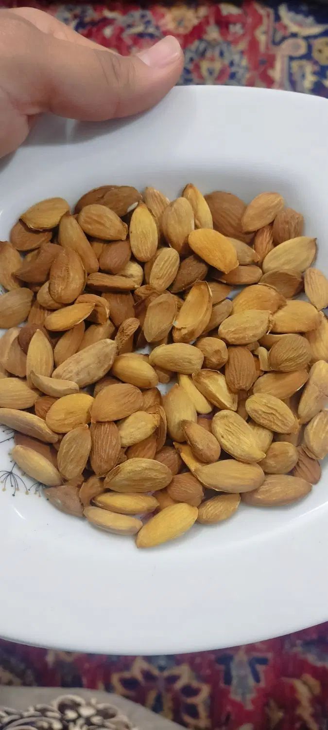 مغزبادام درختی|خوردنی و آشامیدنی|مشهد, طرق|دیوار
