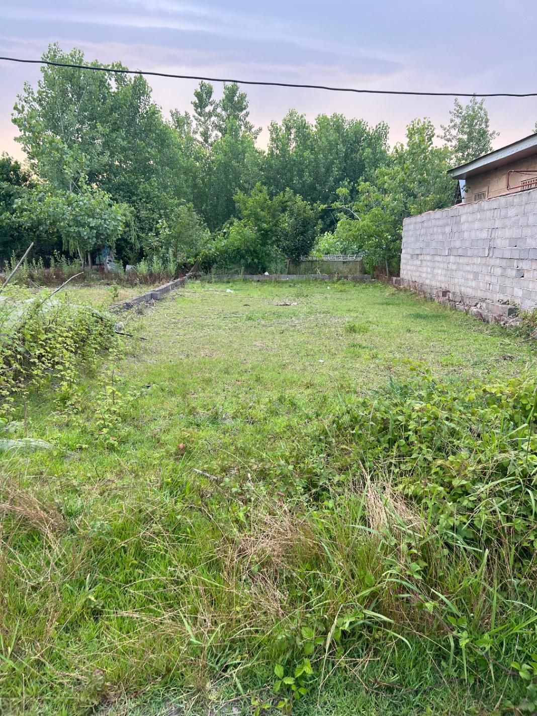 فروش زمین ۱۷۵ متری مسکونی در روستای تمچال|فروش زمین و ملک کلنگی|آستانه اشرفیه, |دیوار