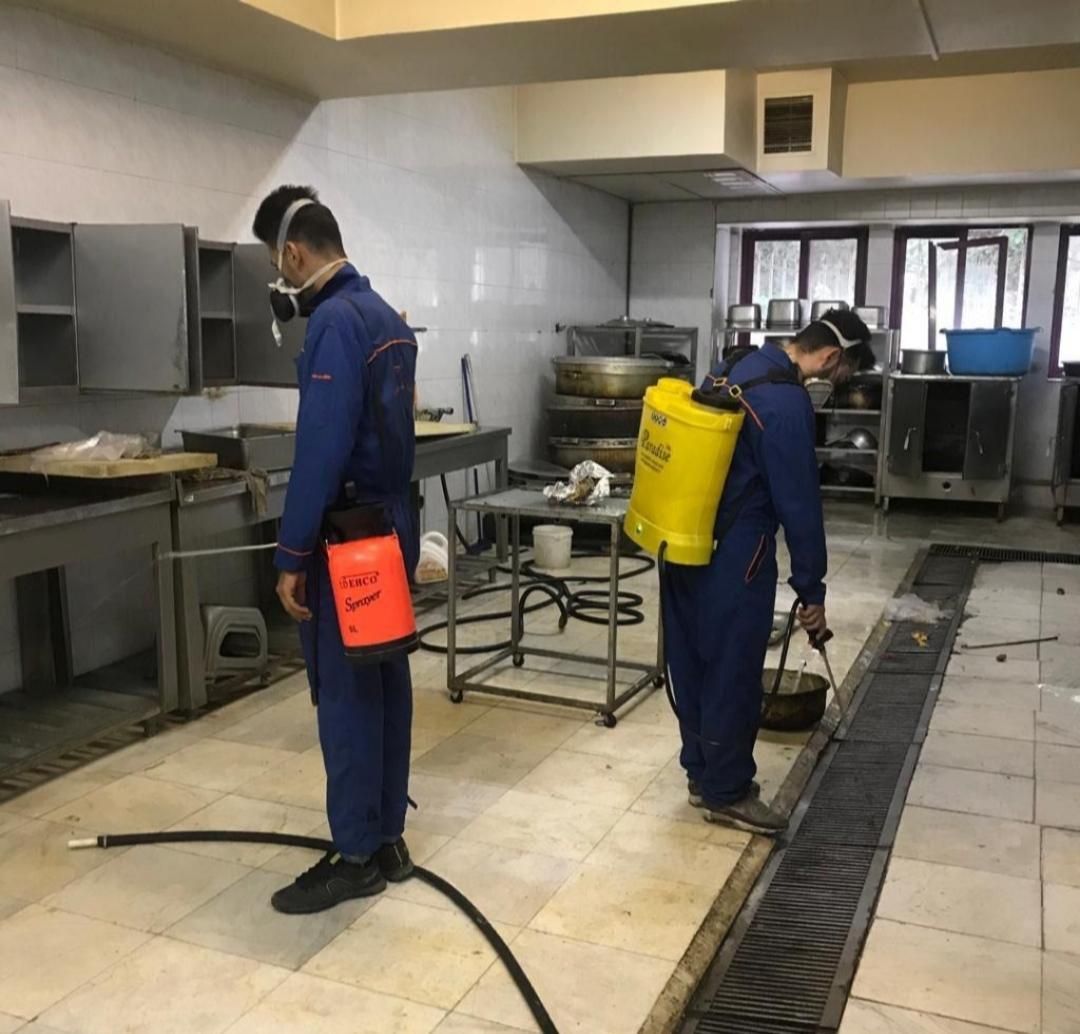 سمپاشی تخصصی ساس سوسک باتضمین کتبی سم پاشی|خدمات نظافت|مشهد, مشکینی (شهرک غرب)|دیوار