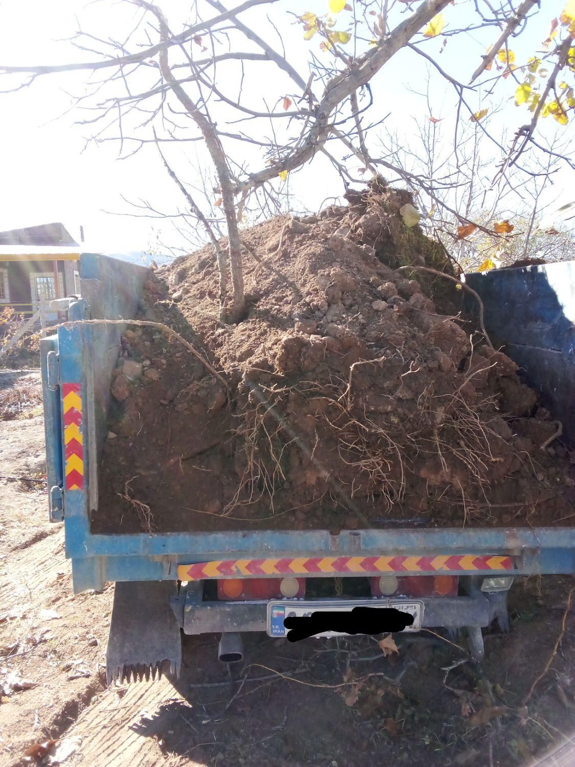 خدمات حمل و نقل|خدمات حمل و نقل|ابهر, |دیوار