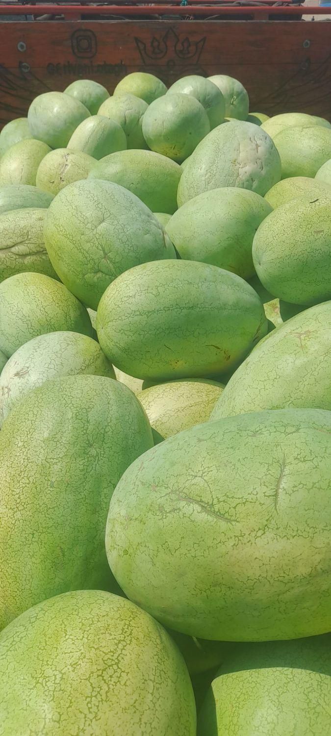 هندوانه وگوجه|خوردنی و آشامیدنی|رشت, بازار|دیوار