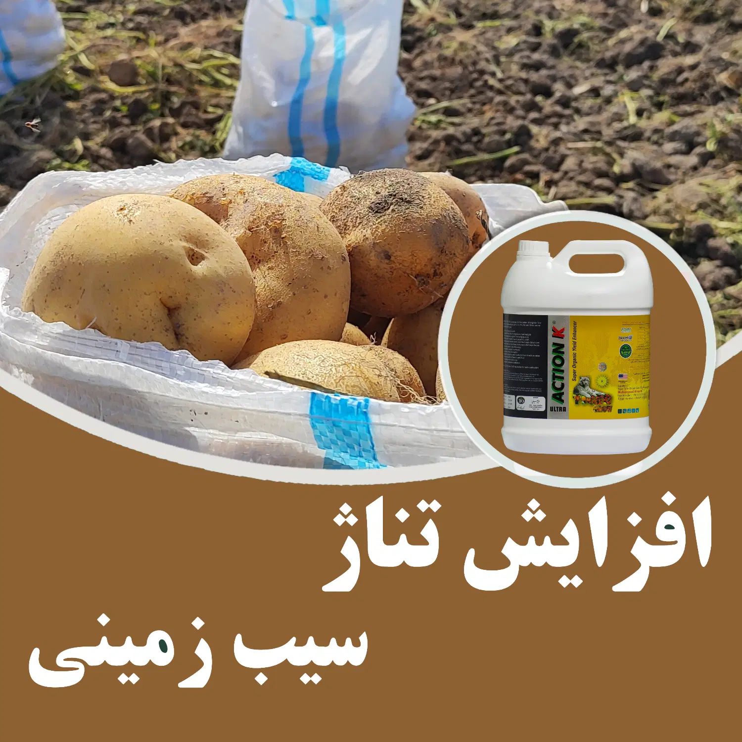 کود مایع وارداتی درشت کننده غده سیب زمینی|خدمات باغبانی و درختکاری|کرمانشاه, |دیوار