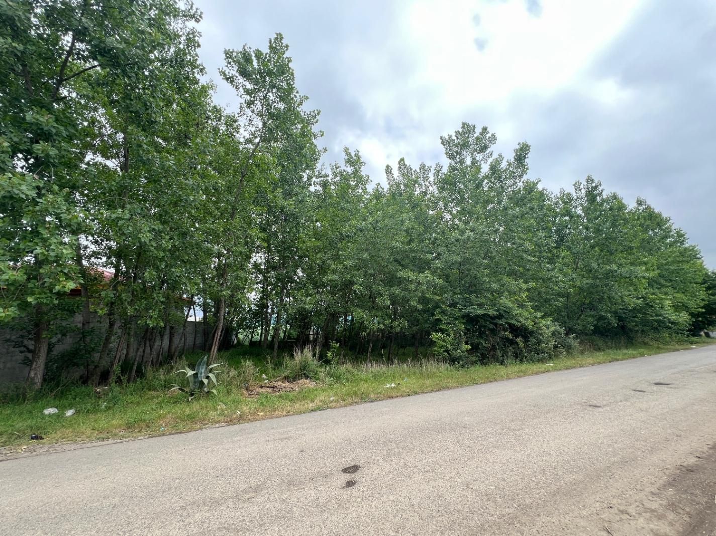 ۷۰۰ متر زمین سیاه اسطلخ برِ جاده|فروش زمین و ملک کلنگی|رشت, سیا اسطلخ|دیوار