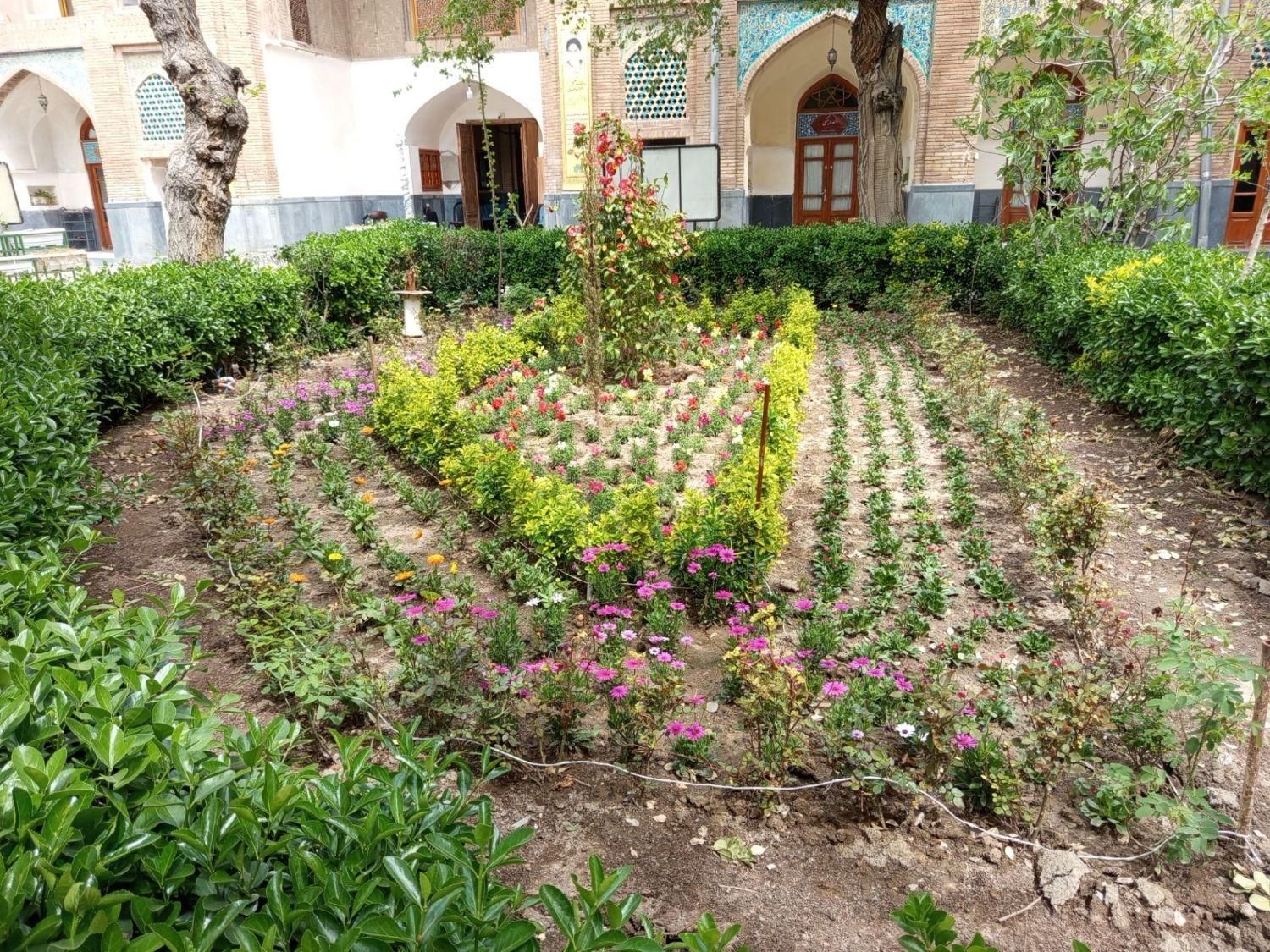 باغبانی هرس گل و نهال کاری جابجایی نهال درخت|خدمات باغبانی و درختکاری|مشهد, توس (بلوار توس)|دیوار