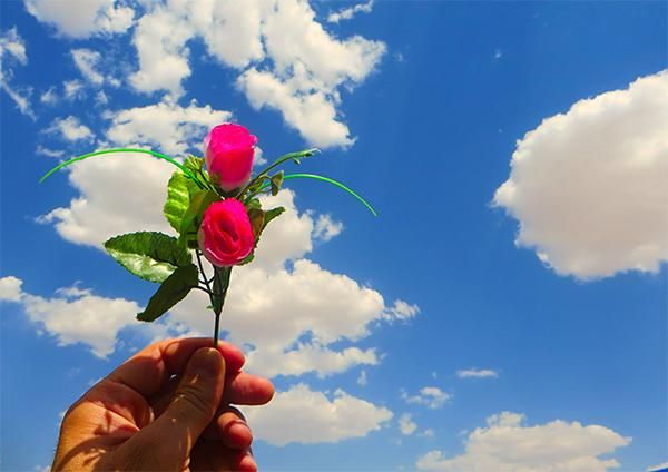 کمد نوجوان با دکور و کتابخانه|تخت و سرویس خواب|یزد, |دیوار