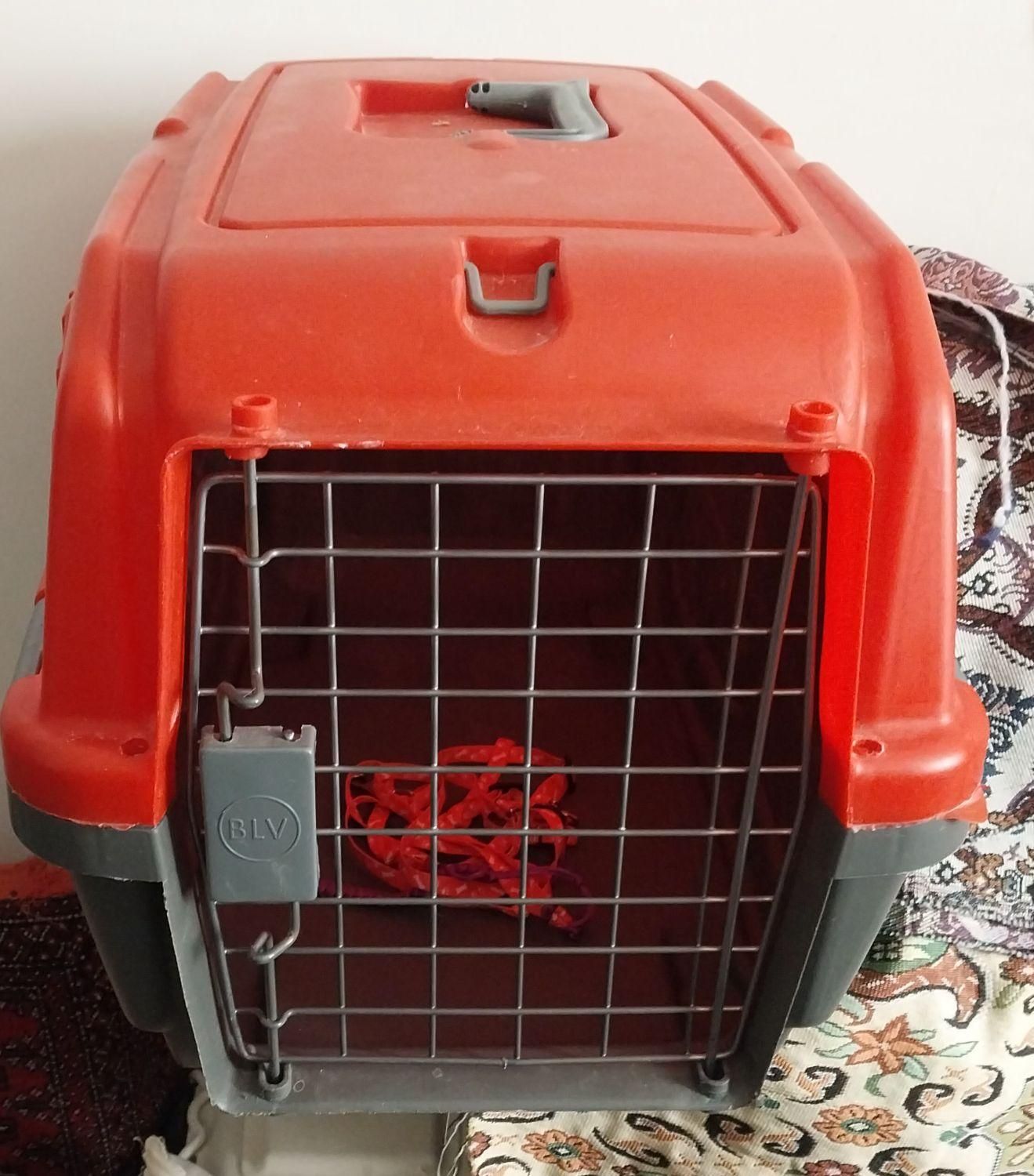 یک عددباکس متوسط گربه|لوازم جانبی حیوانات|شیراز, شهرک گلستان|دیوار