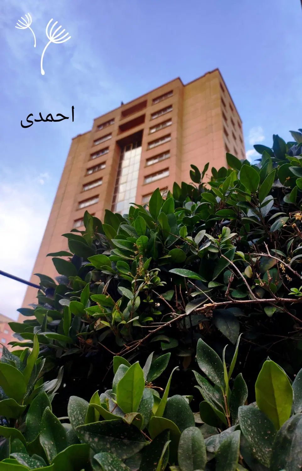 ۱۷۰ متر فول بازسازی شده مجتمع سبحان (احمدی)|اجارهٔ آپارتمان|تهران, قیطریه|دیوار