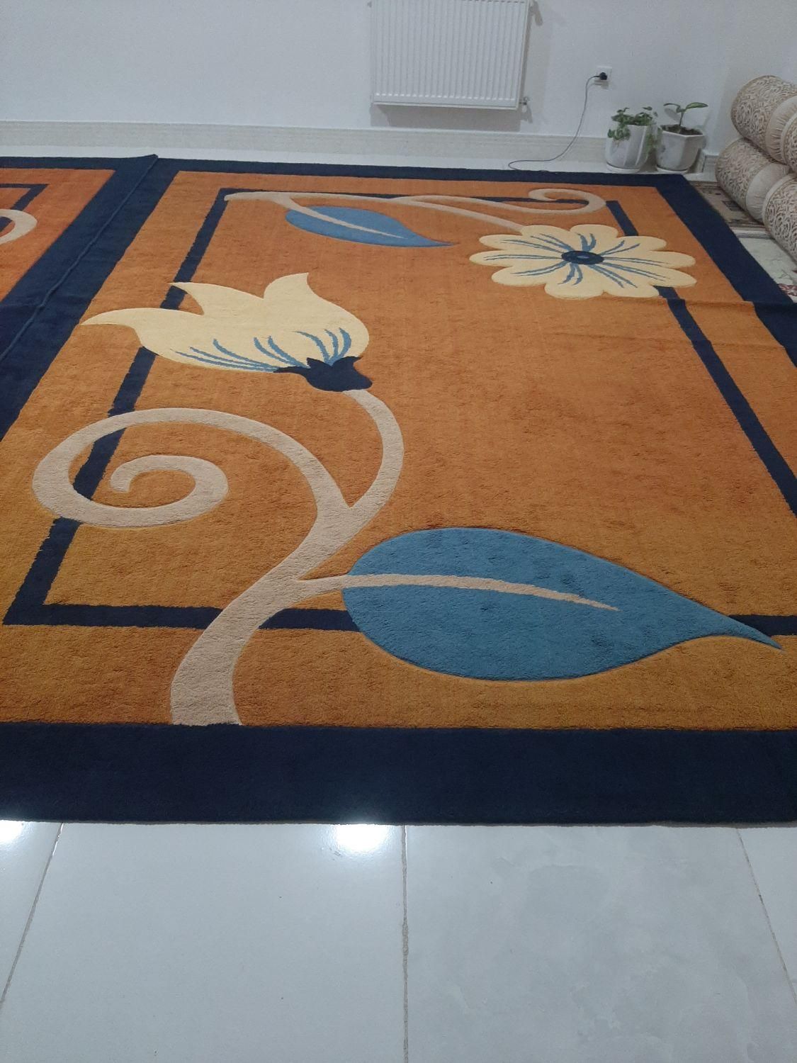 یک جفت گلیم فرش|گلیم، جاجیم، گبه|دوگنبدان, |دیوار