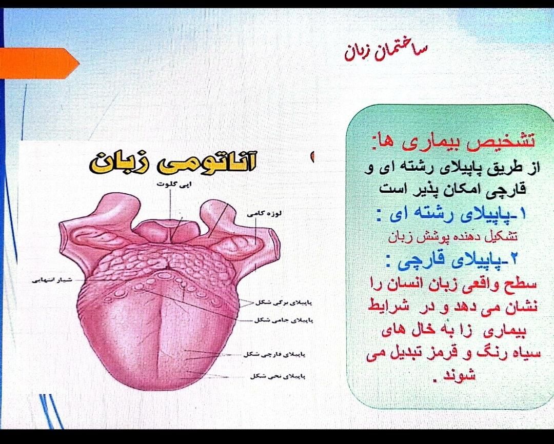 کاردرمنزل آموزش طب سنتی ورسیدن به درآمدعالی|خدمات آموزشی|آبیک, |دیوار