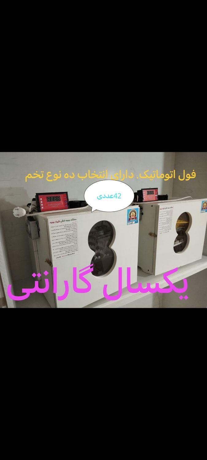 دستگاه-جوجه کشی بامنوی دلخواه تخم وگردش خودکار|لوازم جانبی حیوانات|بندر ترکمن, |دیوار