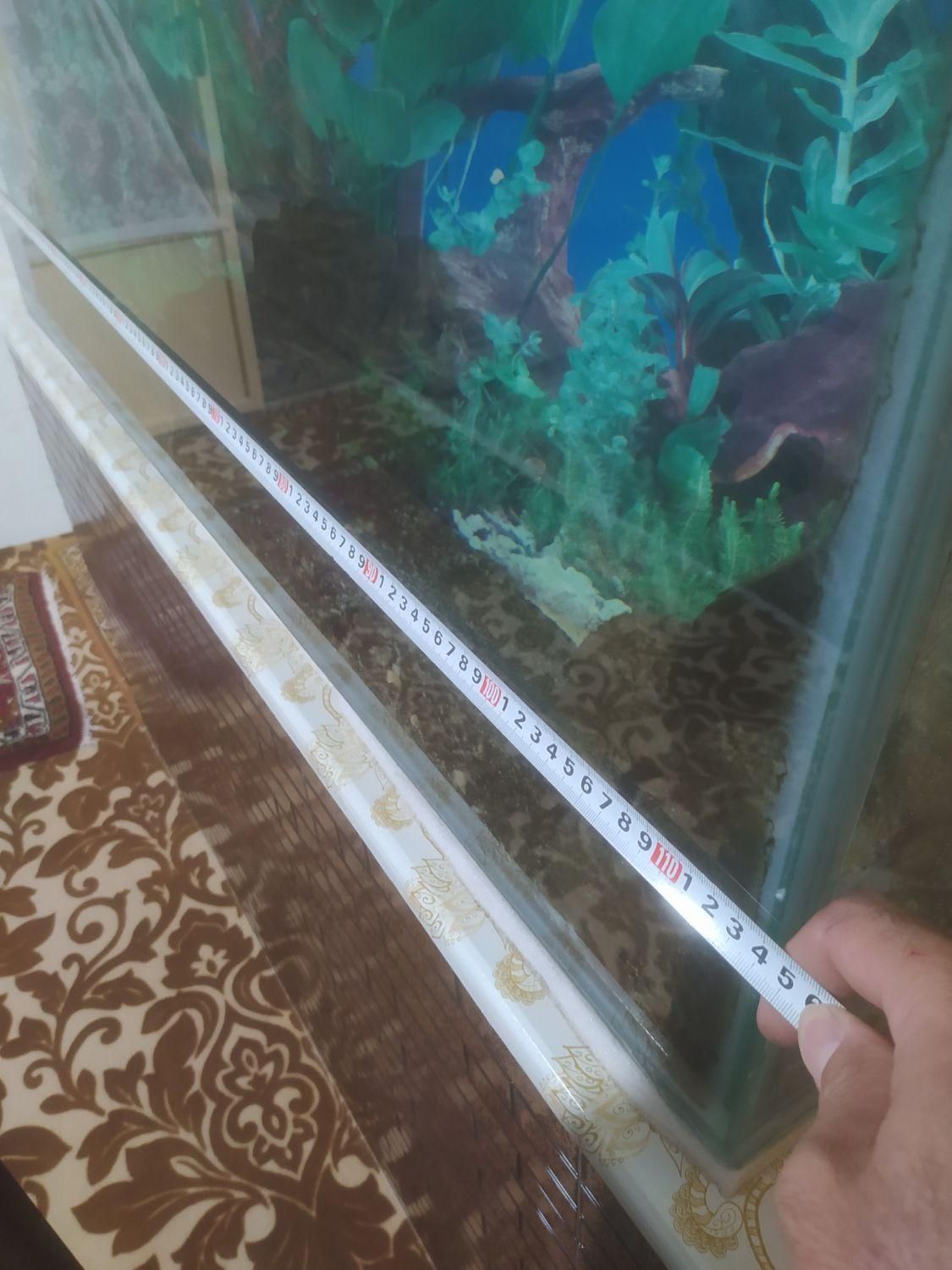 آکواریوم همراه لوازم کامل|ماهی|ملایر, |دیوار