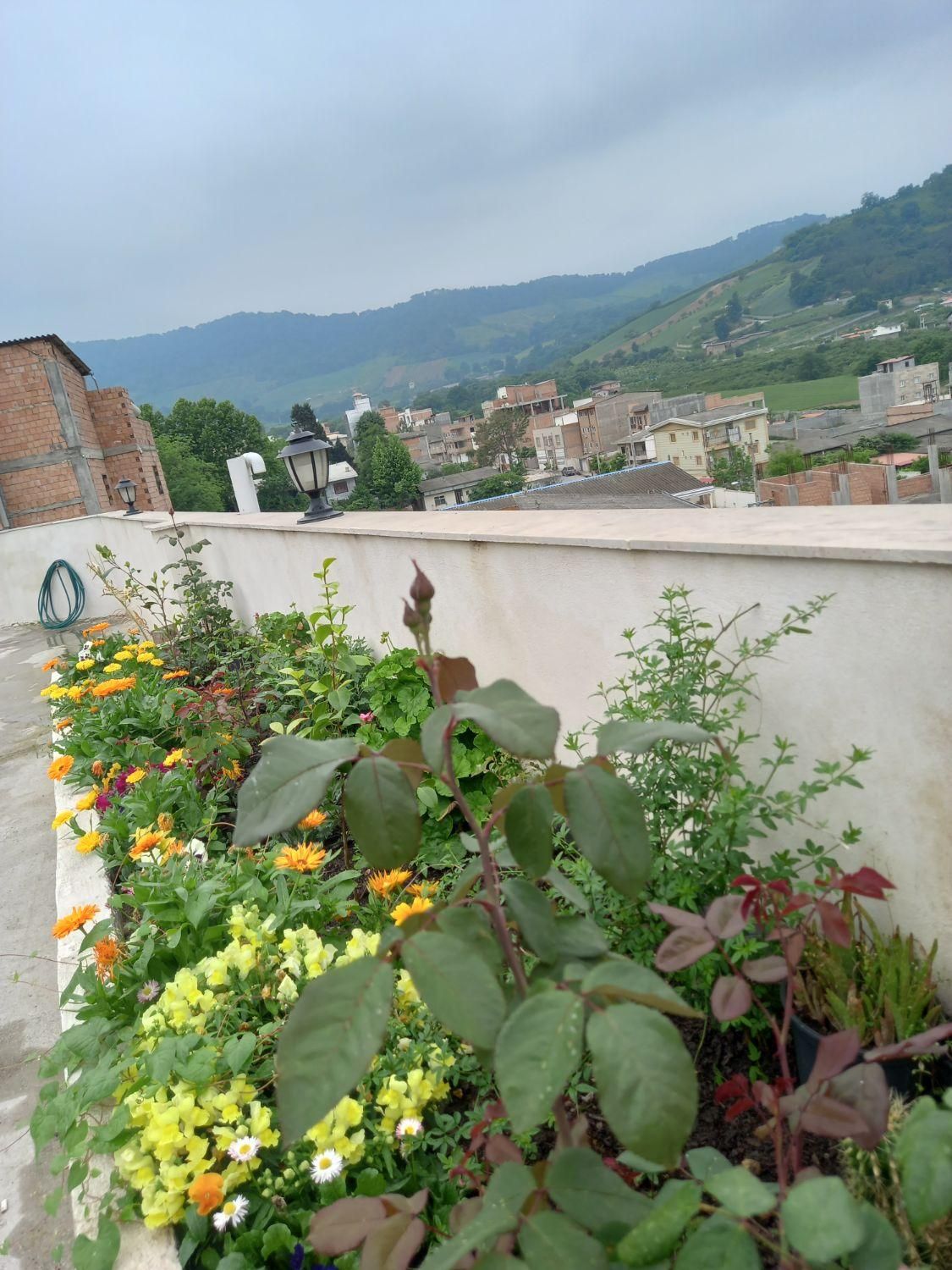 سوئیت اجاره ایی دهکده توشن|اجارهٔ کوتاهمدت آپارتمان و سوئیت|گرگان, |دیوار