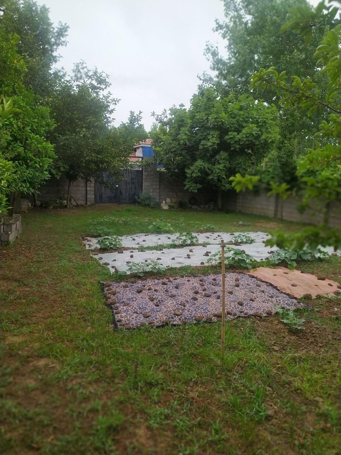 فروش زمین ۲۸۷ متری در  روستای زیبای نوخاله|فروش زمین و ملک کلنگی|رشت, یخسازی|دیوار