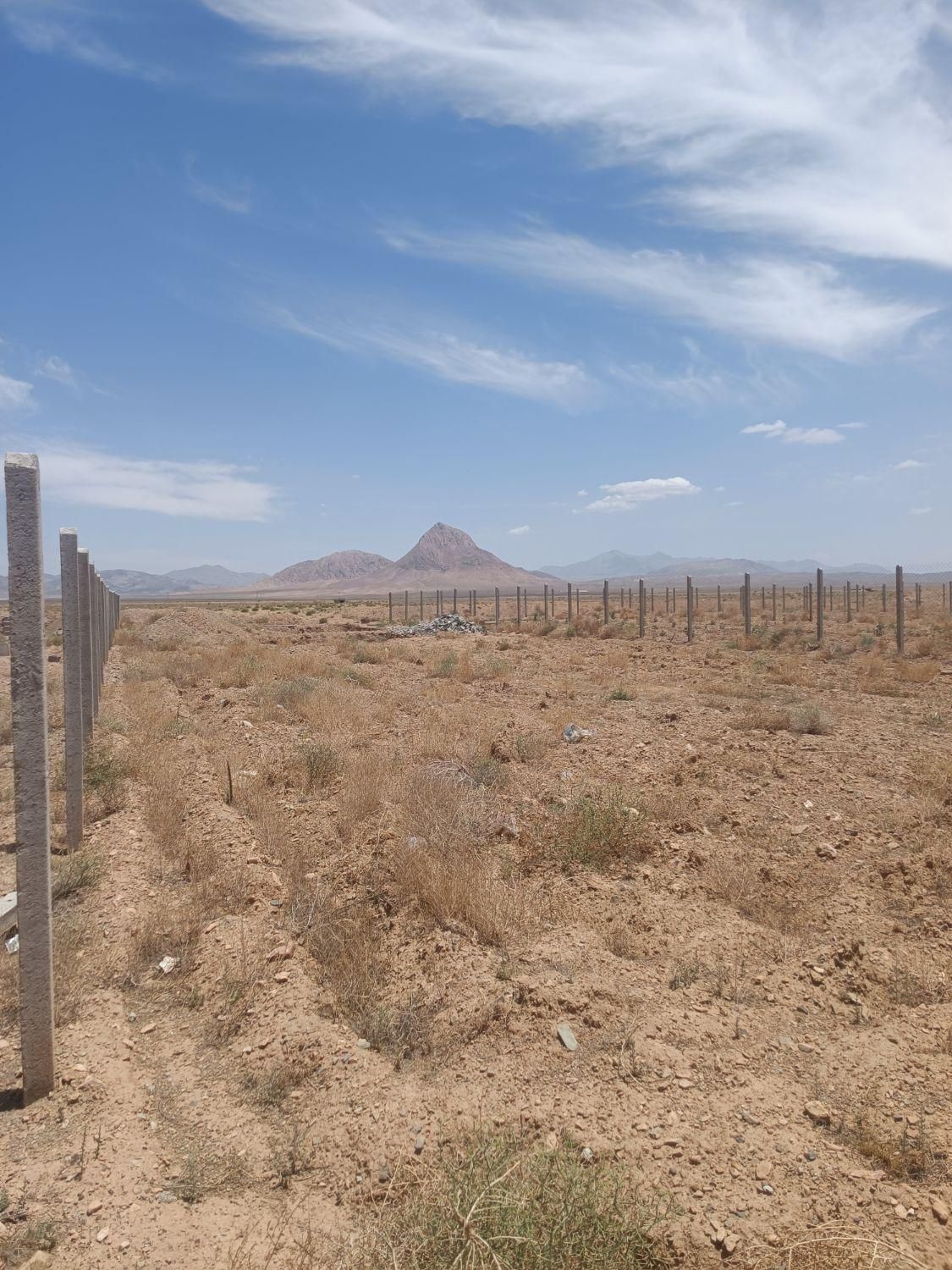 فروش زمین باغی صالح آباد|فروش زمین و ملک کلنگی|دلیجان, |دیوار