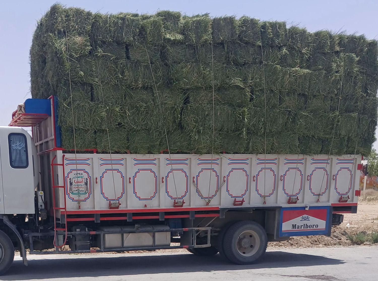 یونجه پرس خشک|خدمات باغبانی و درختکاری|شیرین‌سو, |دیوار