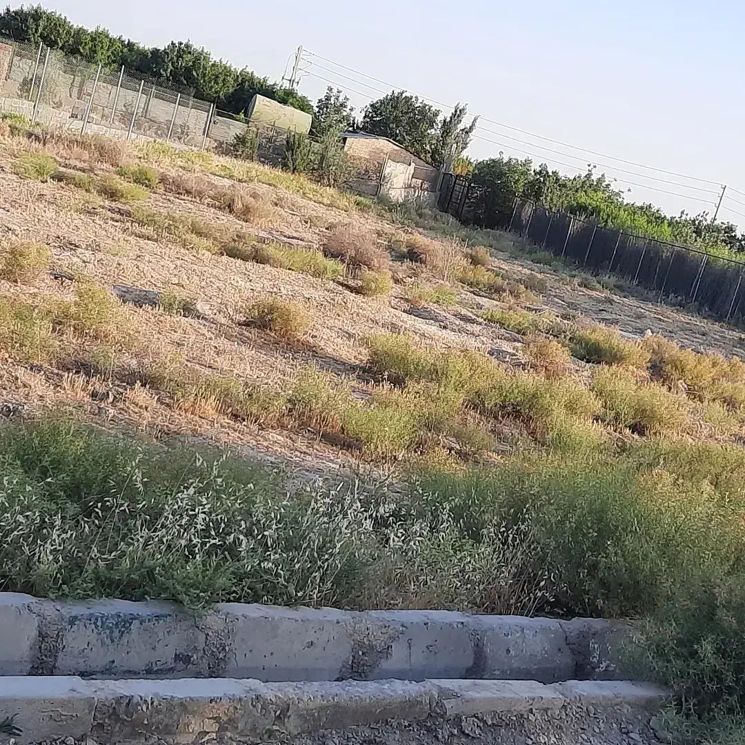 زمین کشاورزی ۱۷۰۰متر فروشی ده حسن رباط‌کریم|فروش دفتر صنعتی، کشاورزی، تجاری|رباط‌کریم, رباط‌کریم|دیوار