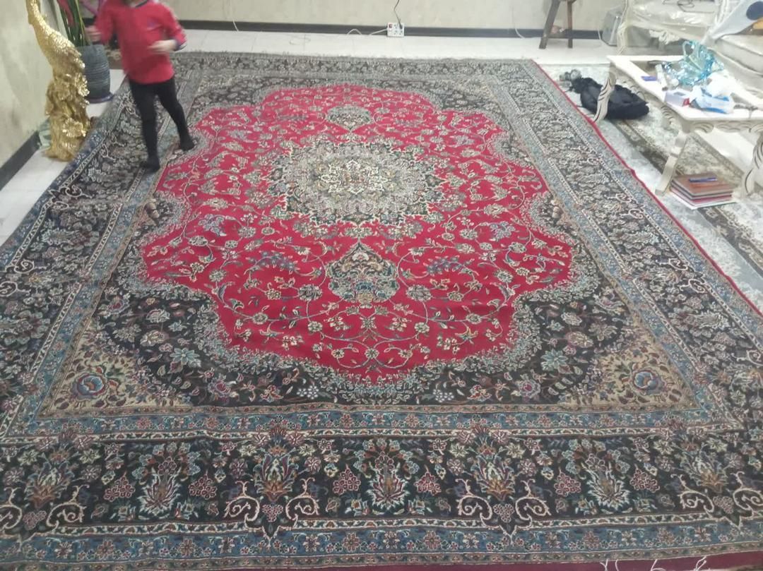 فرش سالم|فرش|شاندیز, |دیوار