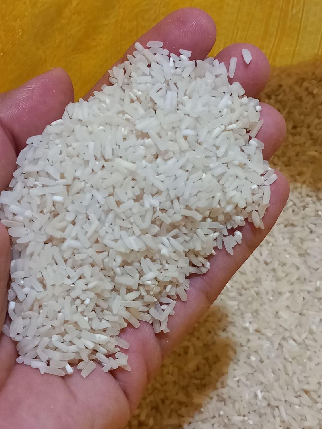 برنج شمال|خوردنی و آشامیدنی|مشهد, همت آباد|دیوار