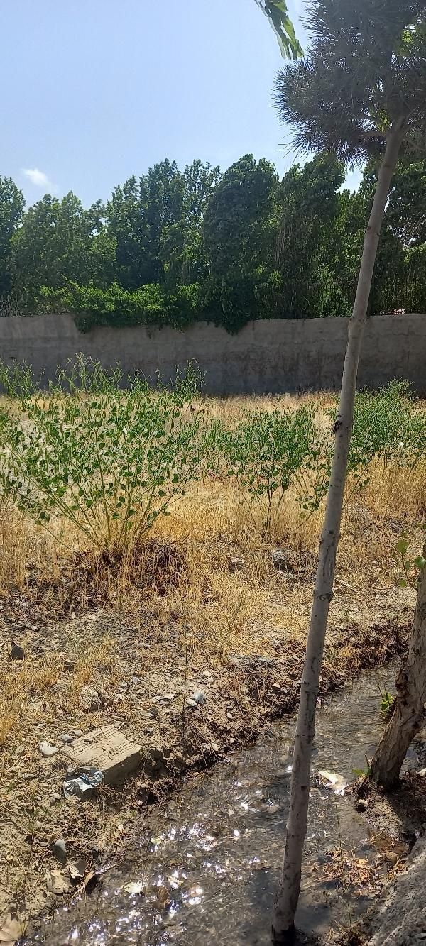 زمین چاهشک، زمین منزل آباد ،زمین خارج از بافت،|فروش زمین و ملک کلنگی|مشهد, چاهشک|دیوار