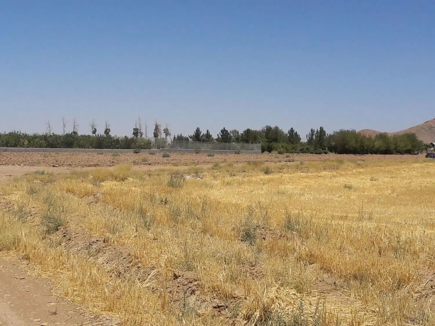 زمین هزارمتری باغی کاروانسرای مادرشاه مورچه خورت|فروش زمین و ملک کلنگی|شاهین‌شهر, مورچه خورت|دیوار