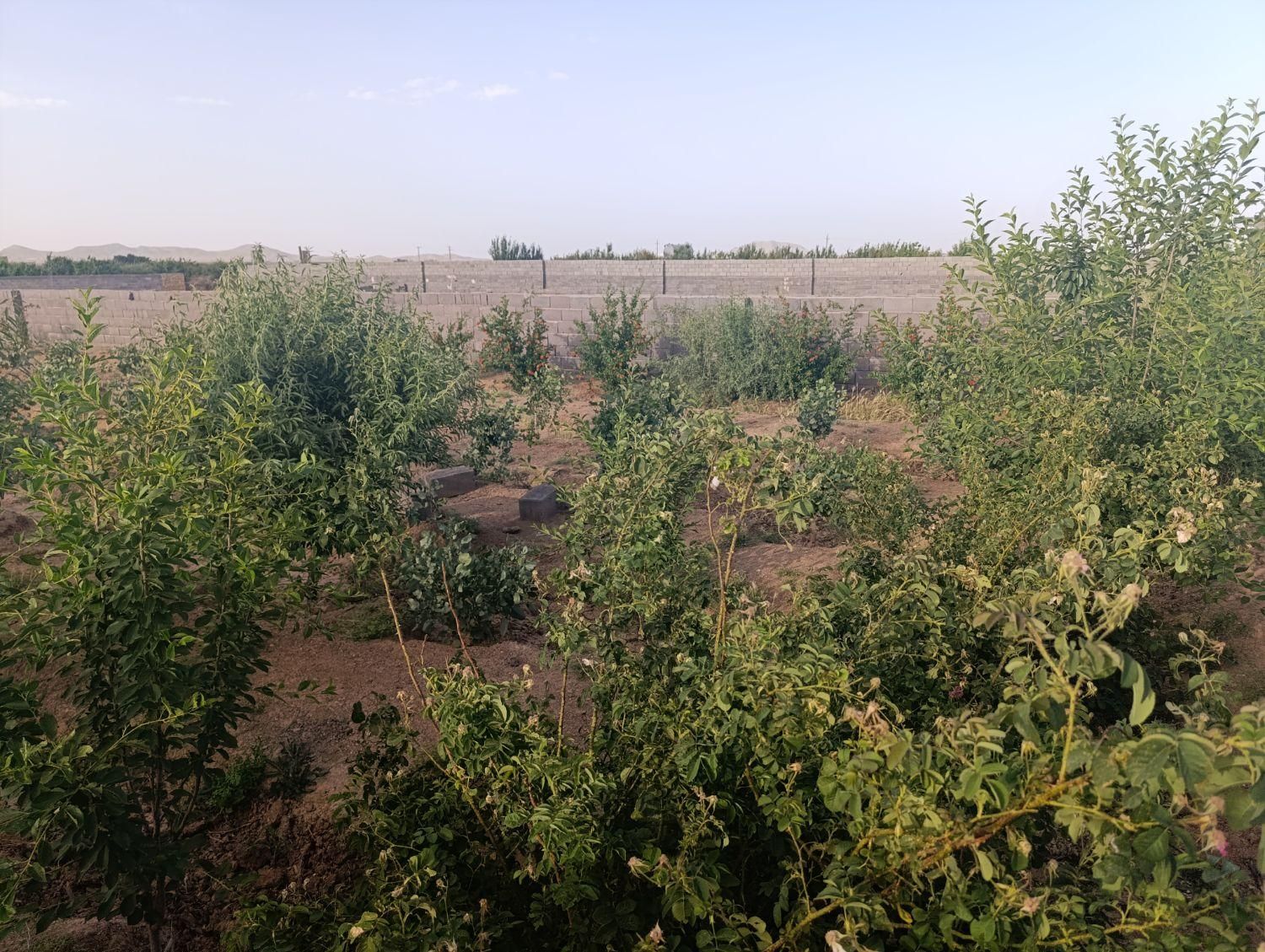 زمین باغی دارای مجوز ویلاسازی(مناسب سرمایه گذاری)|فروش زمین و ملک کلنگی|صفادشت, |دیوار