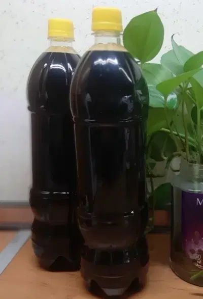 شیره انگور عسگری|خوردنی و آشامیدنی|مشهد, کلاکوب|دیوار