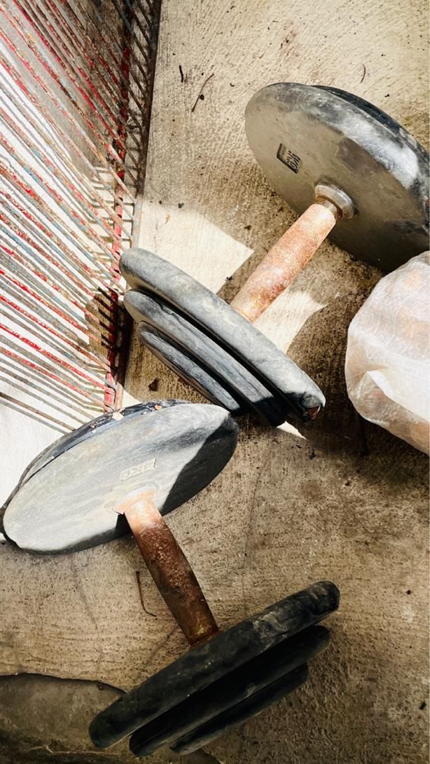 دمبل ۱۲،۵ کیلویی|تجهیزات ورزشی|ارومیه, |دیوار