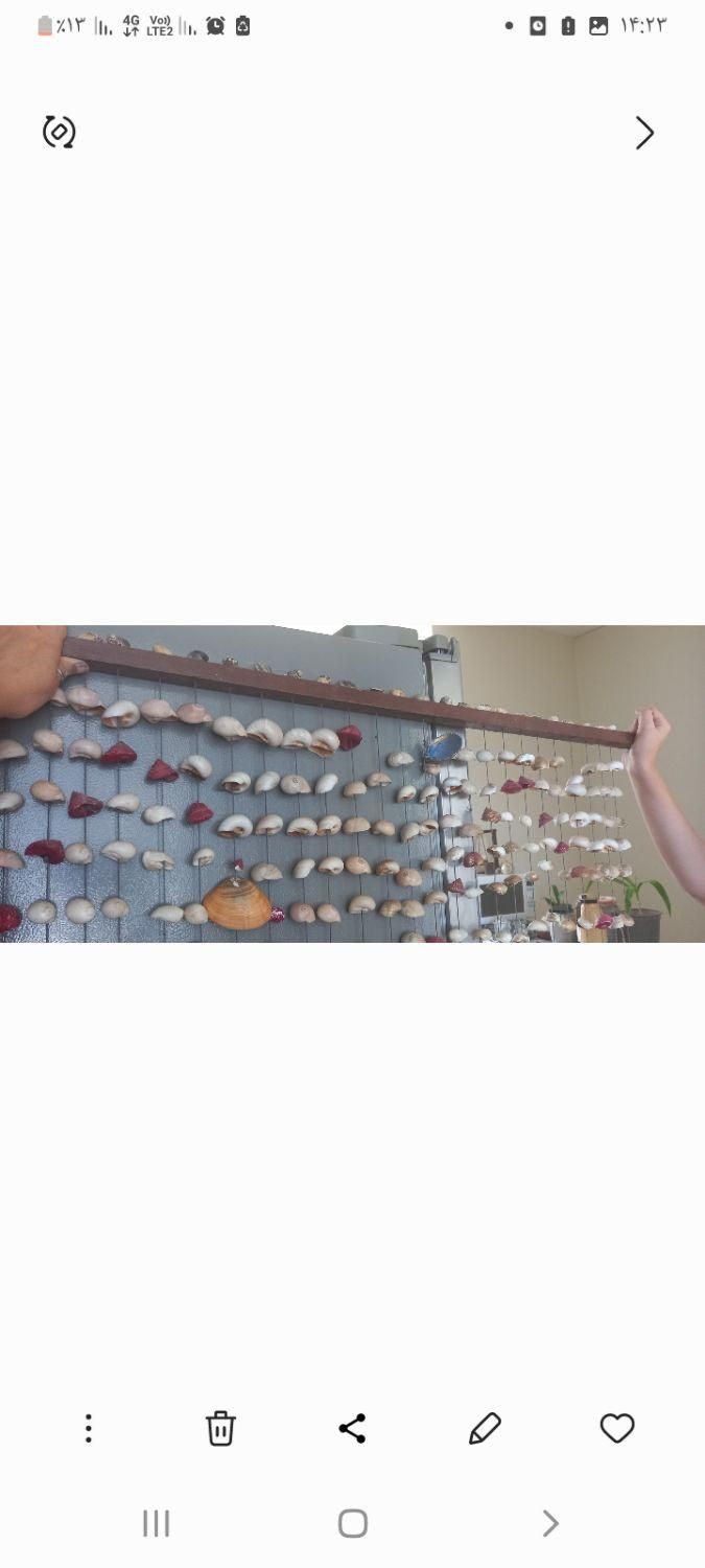 پرده تمام صدف|پرده، رانر، رومیزی|شیراز, اصلاح‌نژاد|دیوار