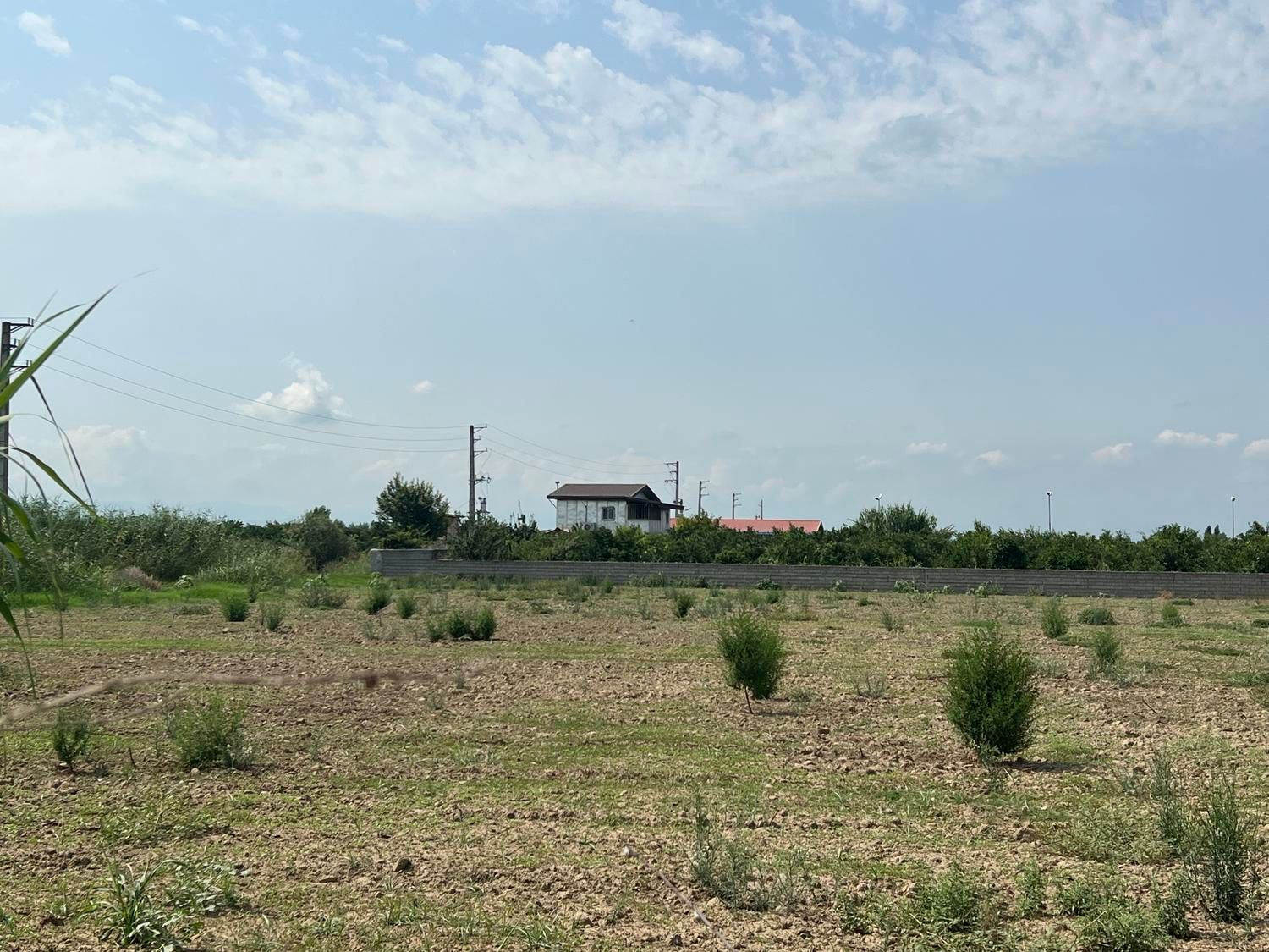 باغچه ۳۰۰ متری بر آسفالت / انشعابات پای ملک|فروش دفتر صنعتی، کشاورزی، تجاری|کیاکلا, |دیوار