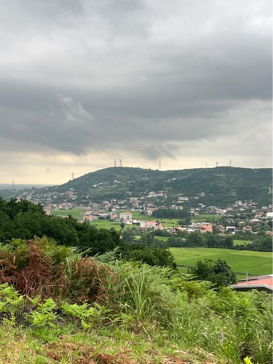 زمین ویودار،280 متر،مناسب کلبه چوبی|فروش زمین و ملک کلنگی|مرزیکلا, |دیوار