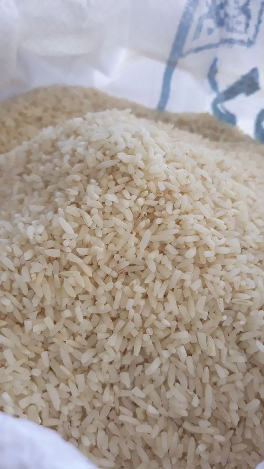 لاشه طارم فریدونکنار اعلاء اعلاء فریدونکنار|خوردنی و آشامیدنی|اصفهان, عسگریه|دیوار