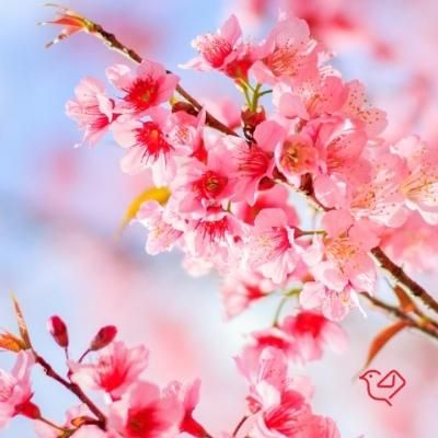 کمک کنید تا در داروسازی اکسیر مشغول بشم|فعالیت داوطلبانه|بروجرد, |دیوار