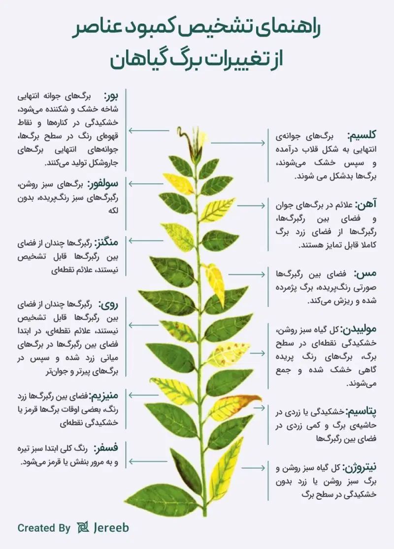 باغبان باغبانی و باغداری اصولی و اقتصادی|خدمات باغبانی و درختکاری|قم, آزادگان|دیوار